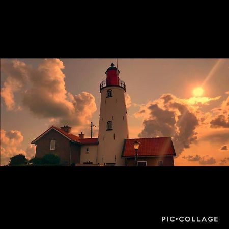 Gastenverblijf De Paddestoel Urk Dış mekan fotoğraf